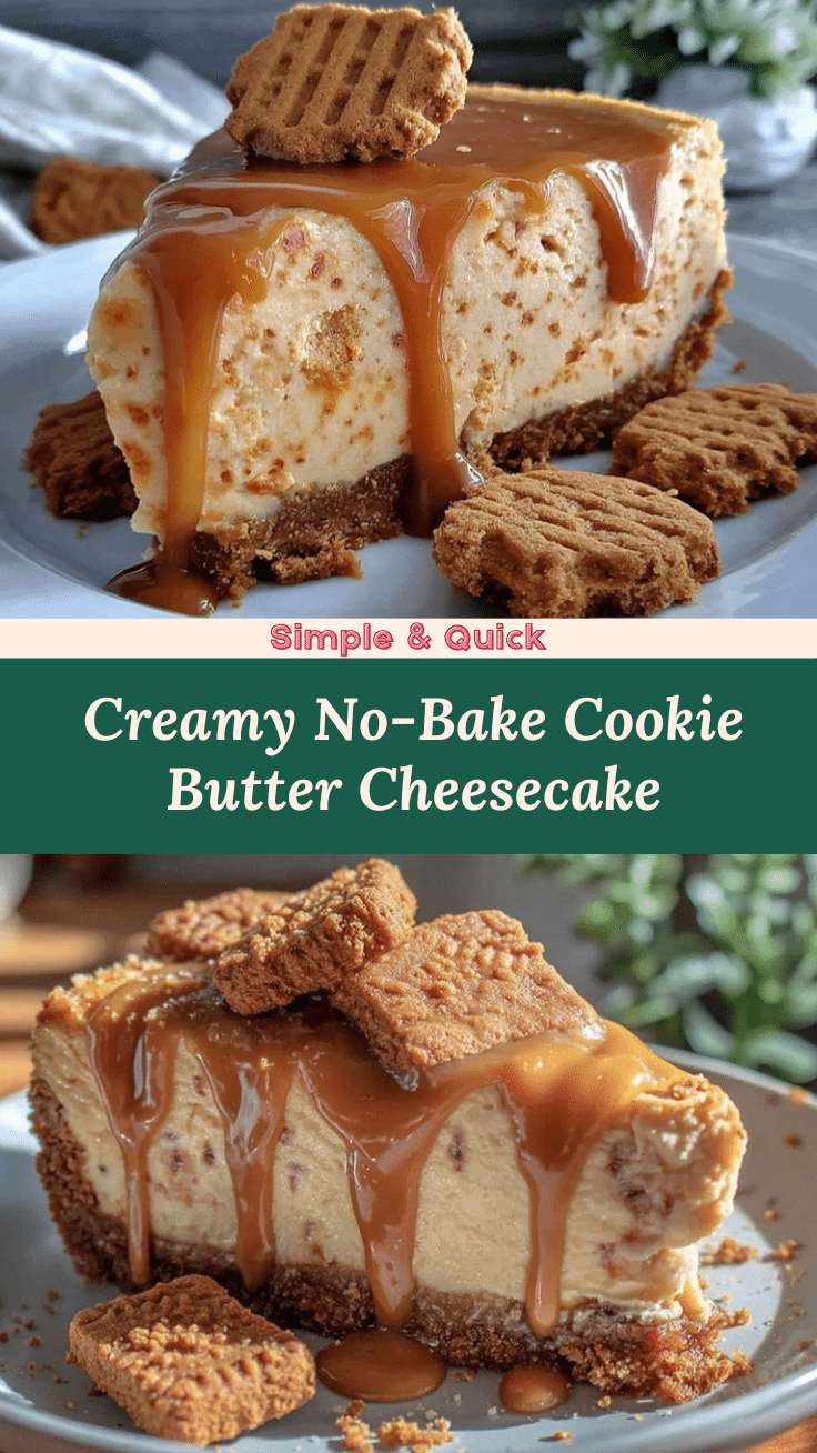 no-bake cookie butter cheesecake recipe