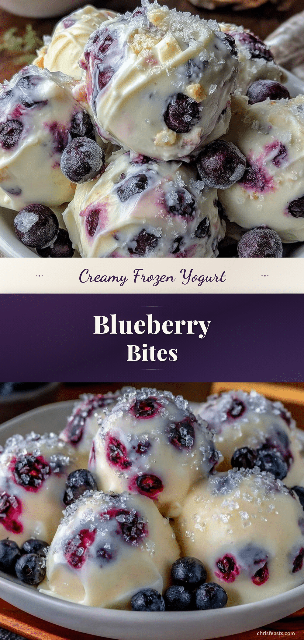 frozen yogurt covered blueberry bites recipe